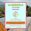 La Maravilla - Los Arroyos( Filter Roasted )